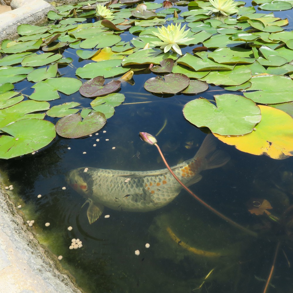 Meet your Posher, T. B.